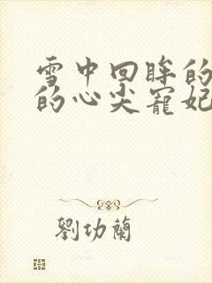 雪中回眸的四爷的心尖宠妃封面