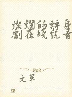 灿烂的转身电视剧在线观看免费完整版