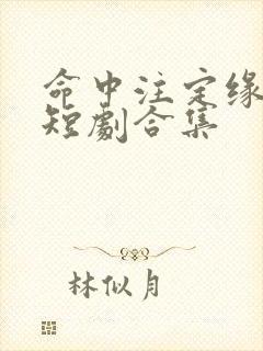 命中注定缘归来短剧合集封面