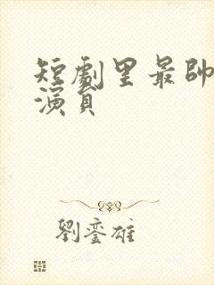 短剧里最帅的男演员