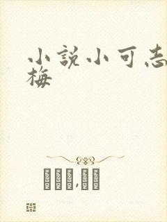 小说小可志强阿梅
