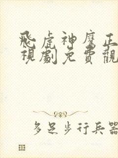 飞虎神鹰正版电视剧免费观看