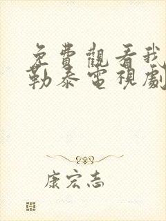 免费观看我的阿勒泰电视剧