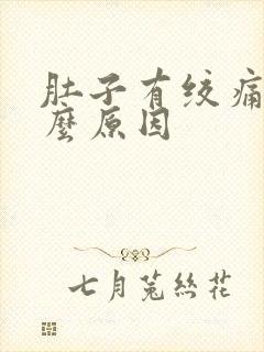 肚子有绞痛感什么原因