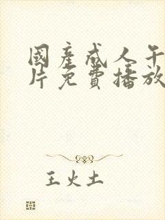 国产成人午夜大片免费播放