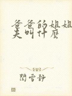 爸爸的姐姐和姐夫叫什么