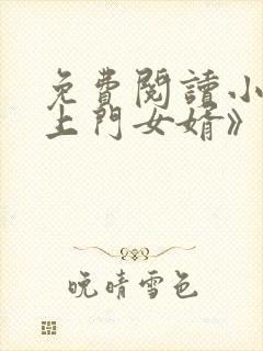 免费阅读小说《上门女婿》叶辰