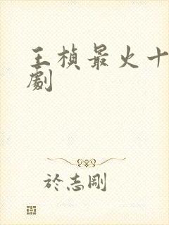 王桢最火十部短剧