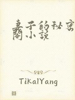 妻子的秘密笔趣阁小说