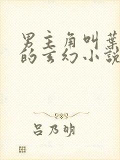 男主角叫叶无双的玄幻小说