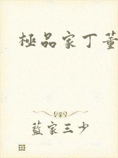 极品家丁董青山封面