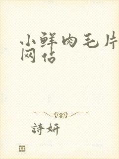 小鲜肉毛片av网站