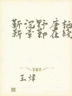 靳沉野唐栖雾最新章节在线阅读