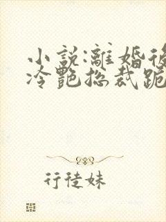 小说:离婚后,冷艳总裁跪求复婚封面