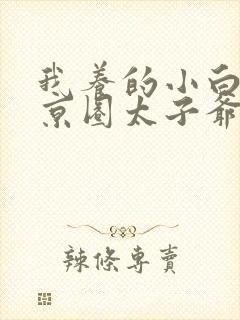 我养的小白脸是京圈太子爷免费看