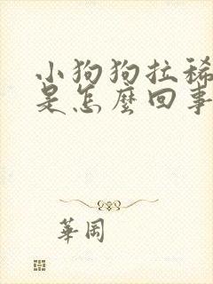 小狗狗拉稀带血是怎么回事