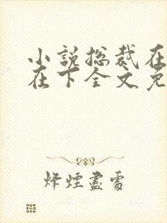 小说总裁在上我在下全文免费阅读