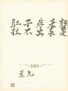 肚子疼老想拉屎拉不出来是怎么回事