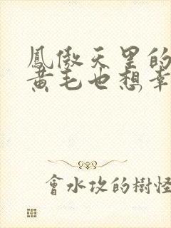 凤傲天里的反派黄毛也想幸福小说