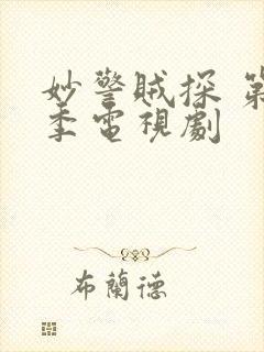 妙警贼探 第6季电视剧