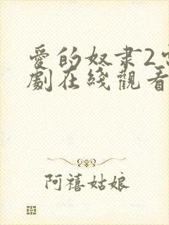 爱的奴隶2电视剧在线观看免费版高清