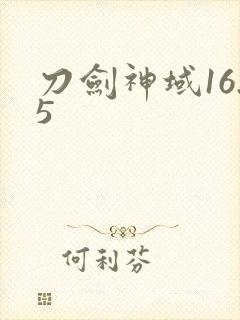 刀剑神域16.5