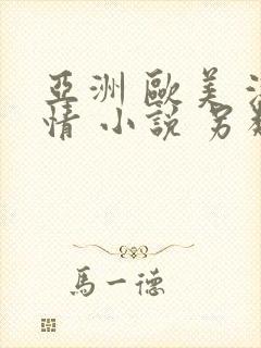 亚洲 欧美 激情 小说 另类