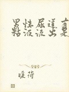 男性尿道有白色粘液流出是什么原因