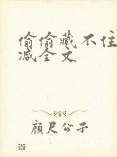 偷偷藏不住未删减全文