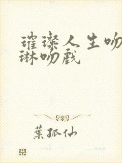 璀璨人生吻戏叶琳吻戏