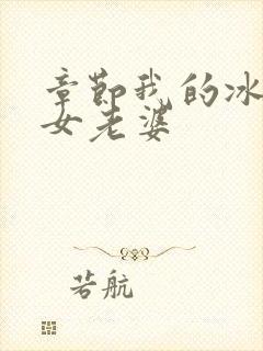章节我的冰山美女老婆