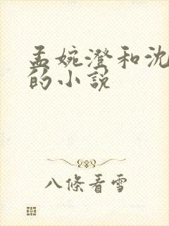 孟婉澄和沈听澜的小说