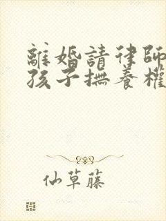 离婚请律师争取孩子抚养权