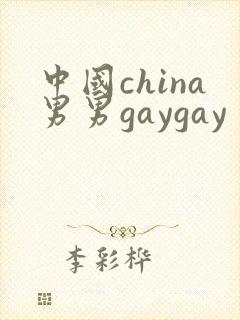 中国china男男gaygay