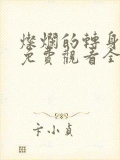 灿烂的转身在线免费观看全集封面