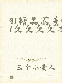 91精品国产91久久久久不卡