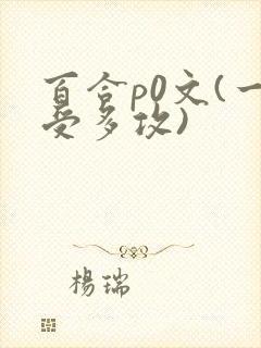 百合p0文(一受多攻)封面