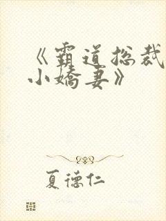 《霸道总裁爱上小娇妻》封面