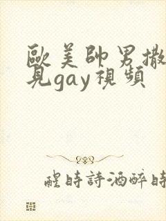 欧美帅男撒尿可见gay视频