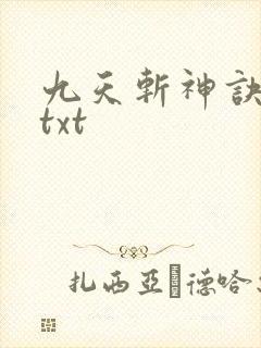 九天斩神诀林辰txt