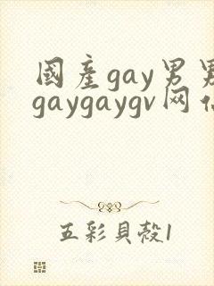 国产gay男男gaygaygv网站