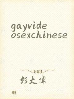 gayvideosexchinese封面