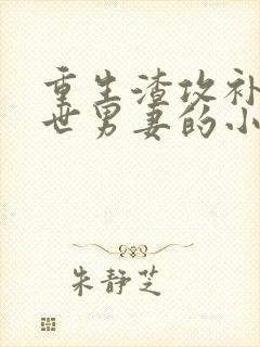 重生渣攻补偿前世男妻的小说