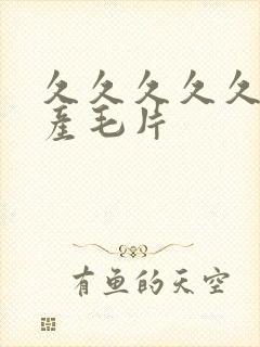 久久久久久久国产毛片