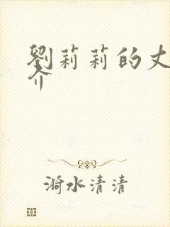 刘莉莉的丈夫简介