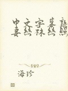 中文字幕熟女人妻丝袜丝照封面