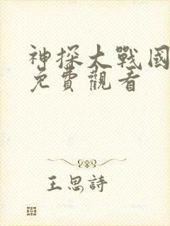 神探大战国语版免费观看