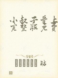 小叔子爱上嫂嫂完整版免费观看电影