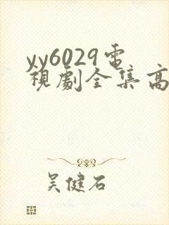 yy6029电视剧全集高清免费播放封面