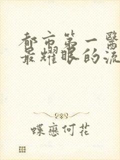 都市第一医仙 最耀眼的流星